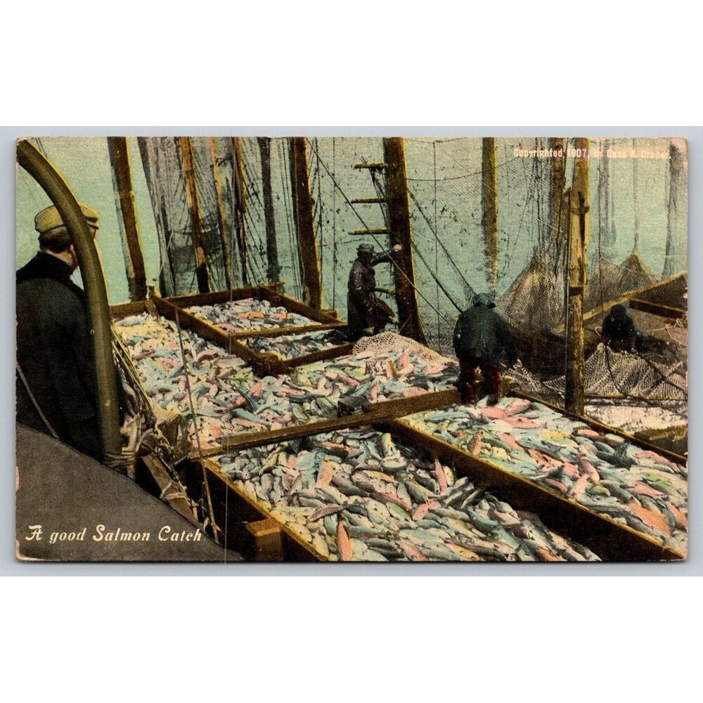 Vintage 1907 Postcard A Good Salmon Catch Case & Draper Fishing Puget Sound WA